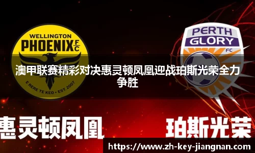 澳甲联赛精彩对决惠灵顿凤凰迎战珀斯光荣全力争胜